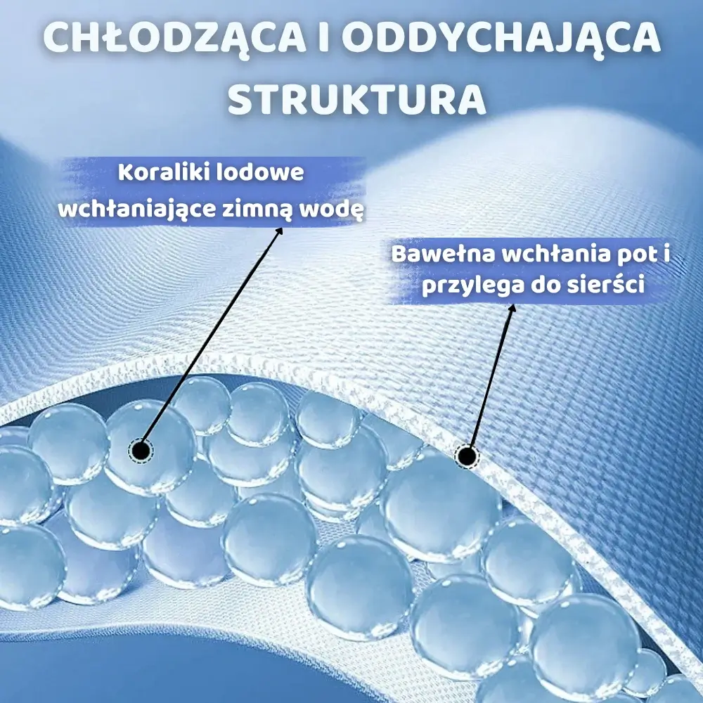 Daj (1000 x 1000 px)